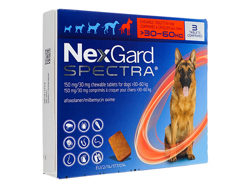 ネクスガードスペクトラ(NexGard Spectra) 超大型犬用(30-60kg)