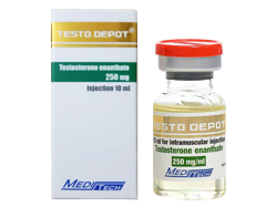 �e�X�g �f�|�[(Testo Depot) 250mg/ml 10ml �G�i�������f�|�[�W�F�l���b�N