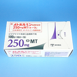 メトホルミン塩酸塩錠250mgMT「トーワ」 100錠 1箱