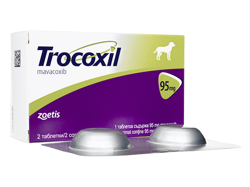 gRLV `u(Trocoxil Chewable) 95mg p