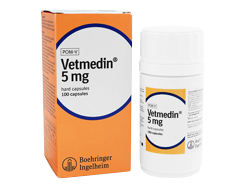 xgfBJvZ(Vetmedin Capsules) 5mg p