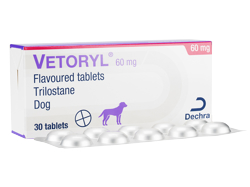 �x�g���� �`���A�u��(Vetoryl Chewable) 60mg