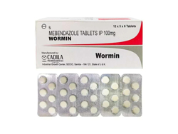 ���[�~��(Wormin) 100mg 360��/1��