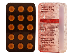 C](Wysolone) 5mg 15/V[g vhjWFlbN